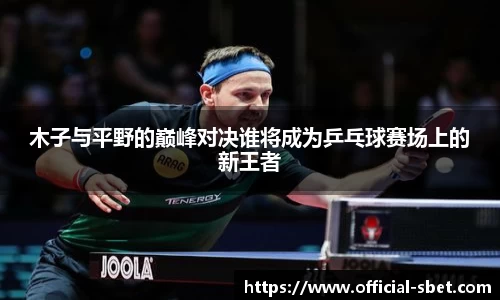 木子与平野的巅峰对决谁将成为乒乓球赛场上的新王者